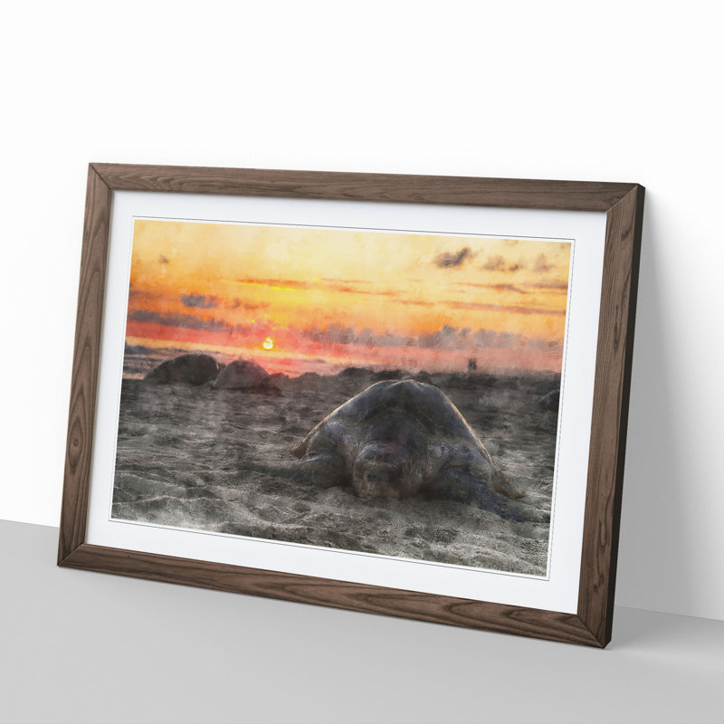 Turtle Beach - Picture Frame Graphic Art, Walnut, 48cm H x 65cm W x 2cm D