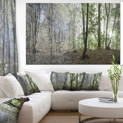" Green Morning In Forest Panorama "