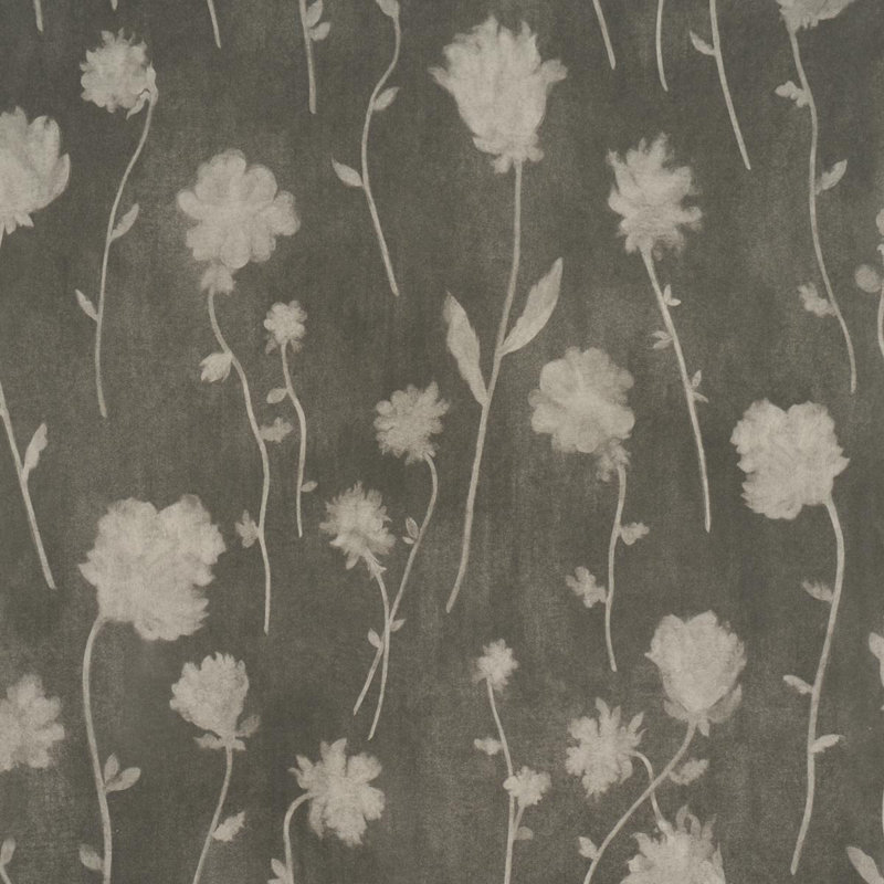 Papier peint Schumacher X Backdrop avant minuit, Noir
