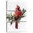 Brampt Cardinal With Snow I-108661522