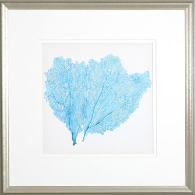 Sea Fan IV par Vision - impression encadrée sur papier