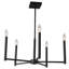 5 Light Chandelier In Matte Black Finish