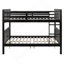 Lit superposé double au-dessus de double avec échelle pour chambre à coucher, mobilier de chambre d'amis - espresso-2109811228