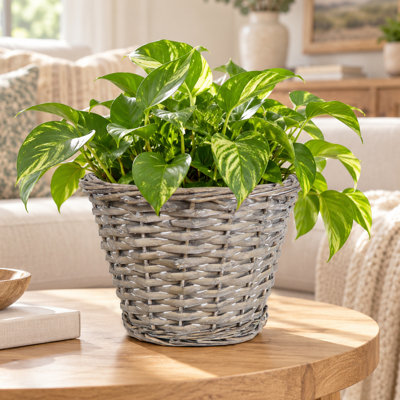 Handwoven Wicker Planter Basket with Plastic Liner
