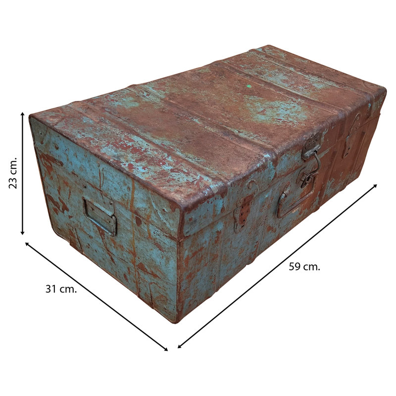 Agripino Handmade Decorative Trunk