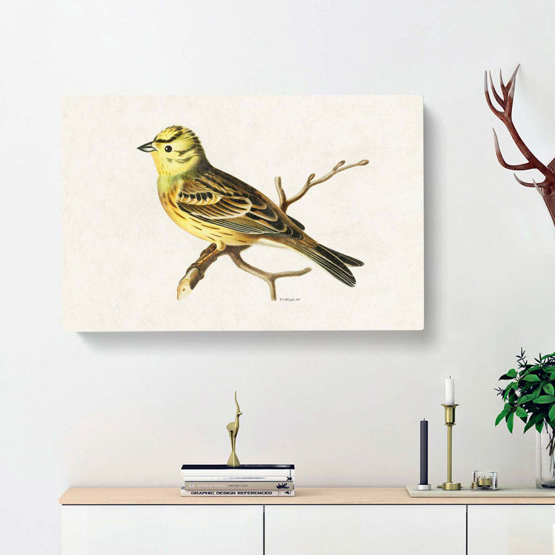 Male Yellowhammer Bird by Von Wright - Wrapped Canvas, 35cm H x 50cm W x 3cm D