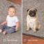 Tapis beige Ambere