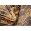 Tapis oriental d'aspect vieilli 6 x 8