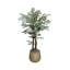 Organic Modern 4.5' Faux Moringa Tree