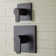 Hibiscus Thermostatic Shower Valve with Volume Control Trim