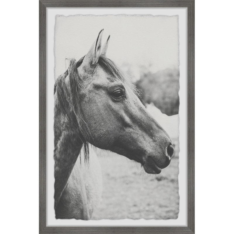 Ann Barnes - Single Picture Frame Print, 91cm H x 61cm W x 3.81cm D