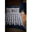 Althea Duvet Cover Set-114795341