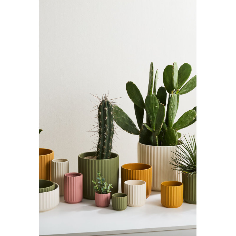 Simona Beam Pot, 10.75" H x 11.25" W x 11.25" D
