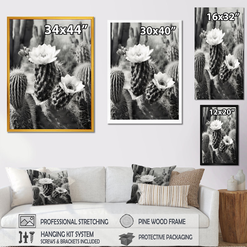 Keymari Gray Desert Cactus III sur toile, H 32 po x l 16 po x P 1 po, Toile tendue