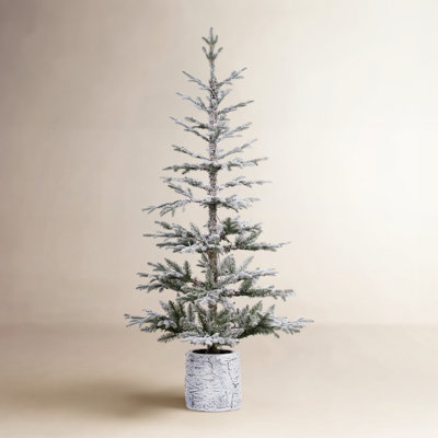White Frosted 5' Pre-Lit Fir Christmas Tree