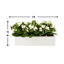 Kalanchoe Arrangement in Fiberstone Planter-1624349388-1646607056