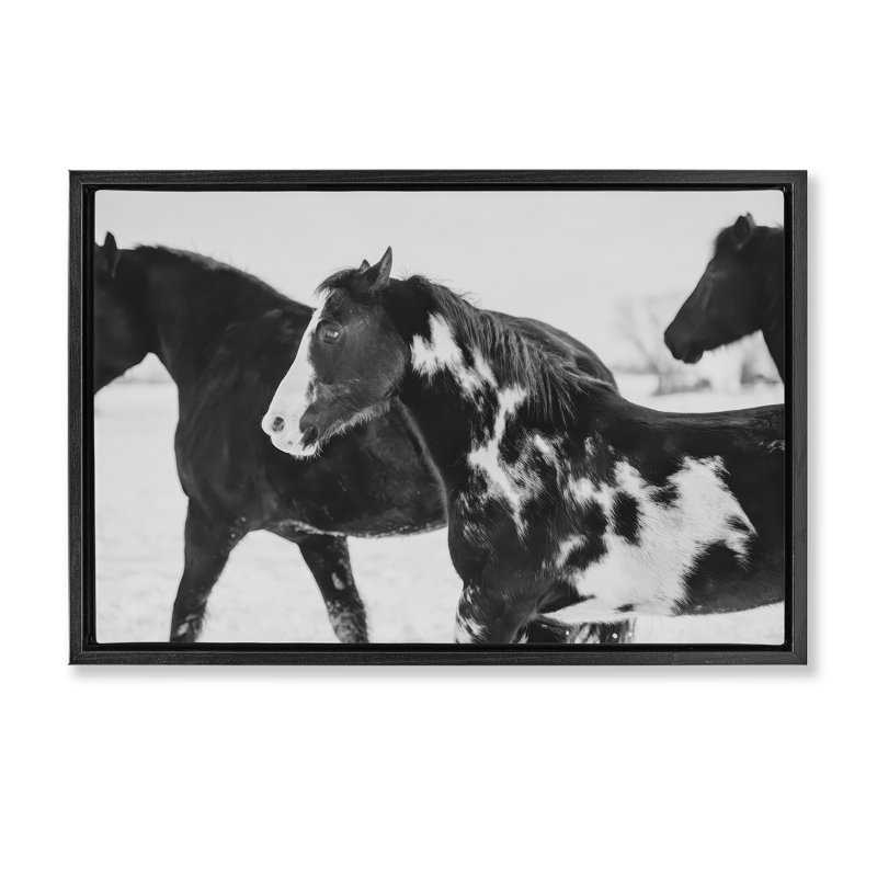 Cadre flottant noir Winter Horses, design par Amy Carroll, Noir, H 17 po x l 25 po