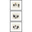 Aitkin Framed Art - Set of 3