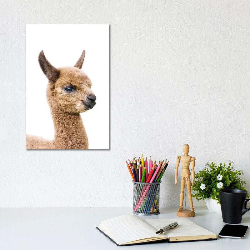 Baby Llama by Sisi & Seb - Gallery-Wrapped Canvas Giclée on Canvas, Canvas, 20.32 cm H x 30.48 cm W