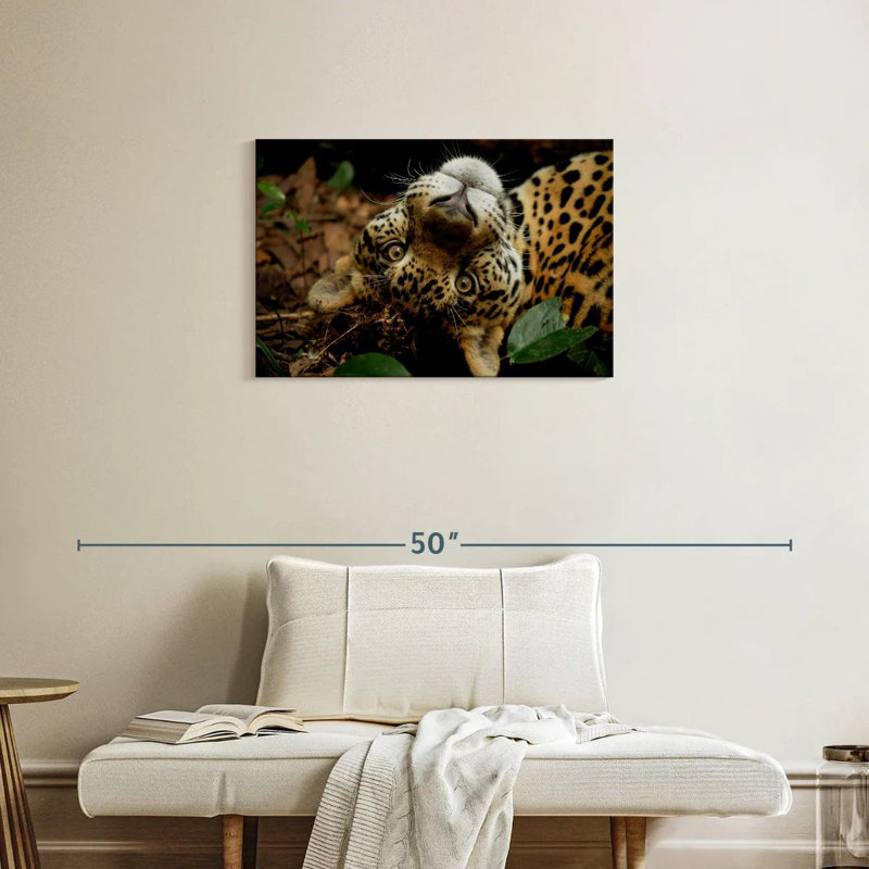 Goofy Jaguar, 20" H x 30" W
