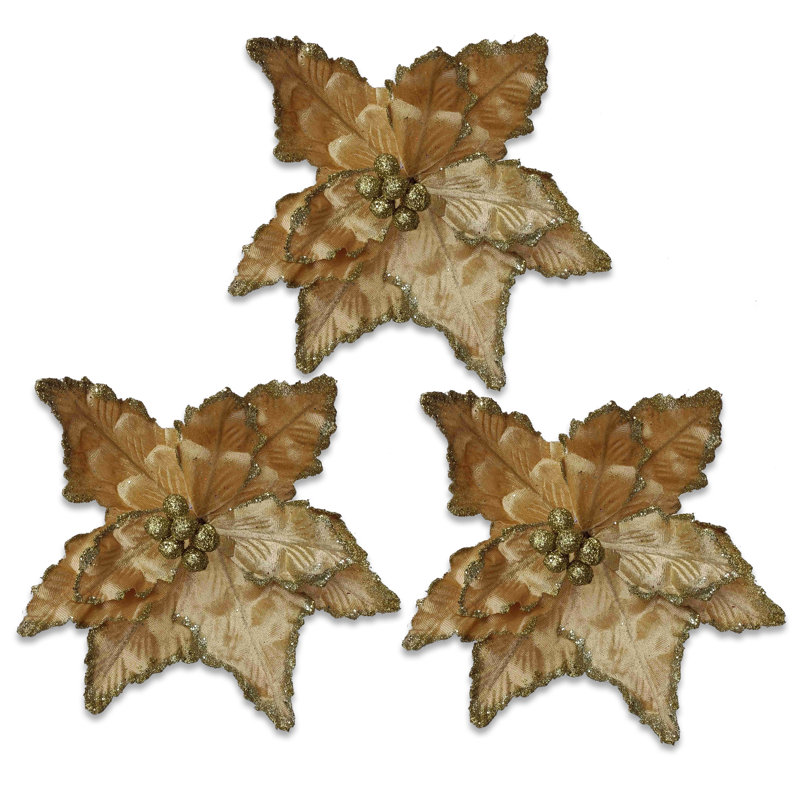 Poinsettia 11 ", Champagne