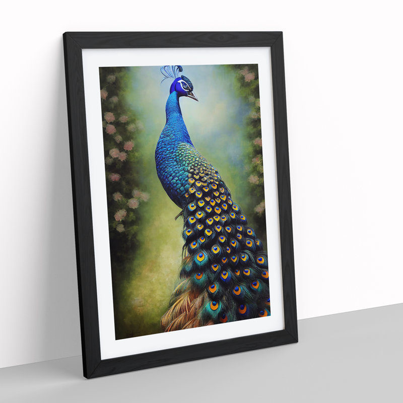View Of A Peacock No.2 - Single Picture Frame Print, Black Framed, 64cm H x 46cm W x 2cm D