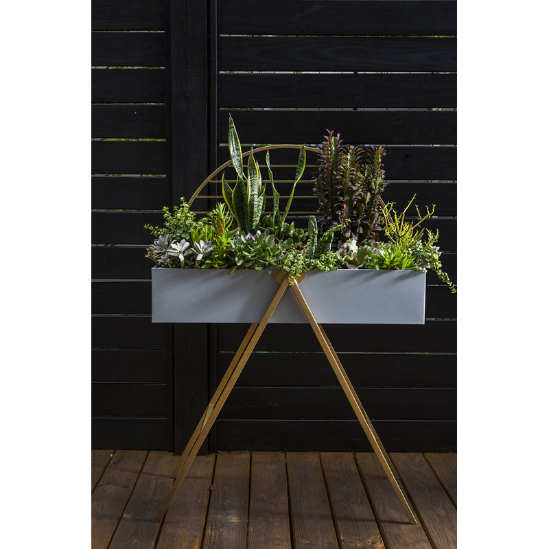 Auge pour plantes Karlee