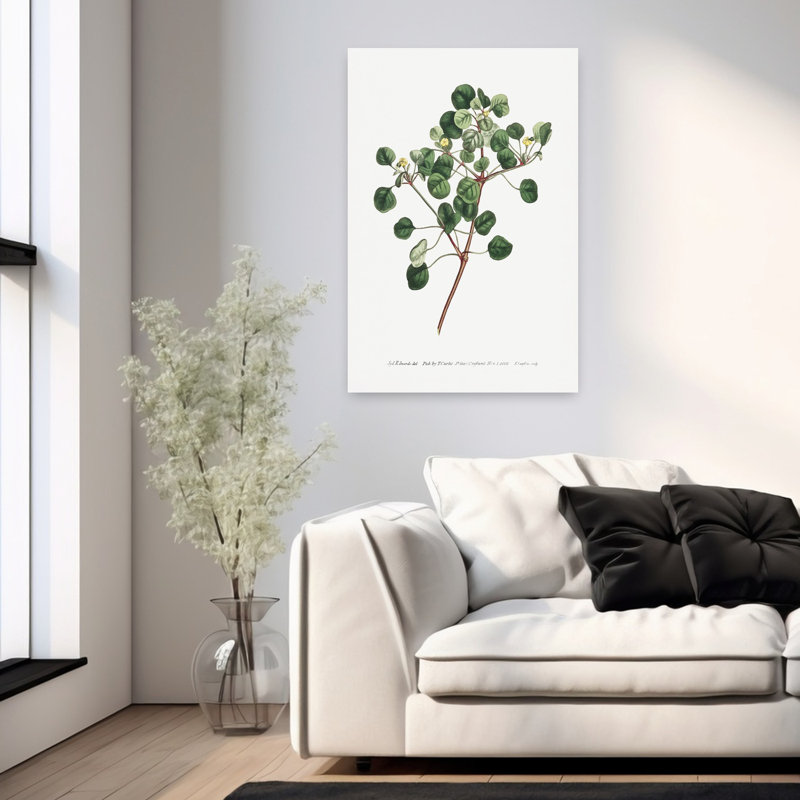 «Euphorbia Petiolaris 1805 Flower Garden» par Francis Sansom, art mural contemporain abstrait, H 36 po x l 24 po