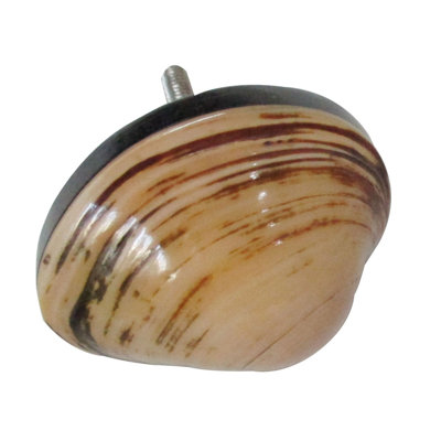 Shell 1-3/4 in. Peach Cabinet Knob