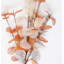 Vaporisateur artificiel Lunaria