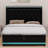 Upholstered Bed, 360 Surround LED Function, Buttons/Apps/Remote Control, Hydraulic Storage Bed With USB Type-C Charging-87456231-87456230