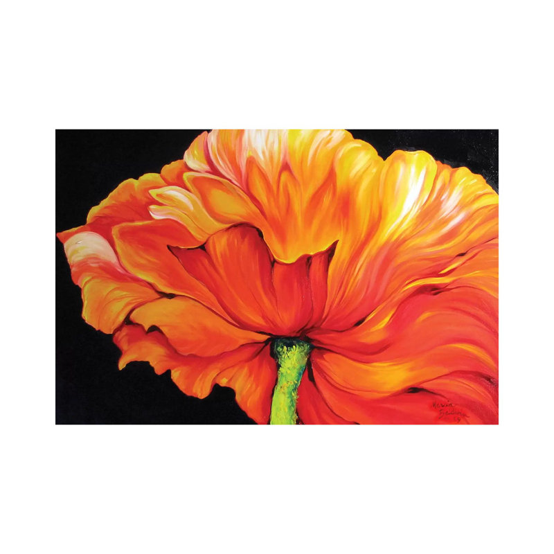 A Single Poppy by Marcia Baldwin - Wrapped Canvas Print, 20.32 cm H x 30.48 cm W