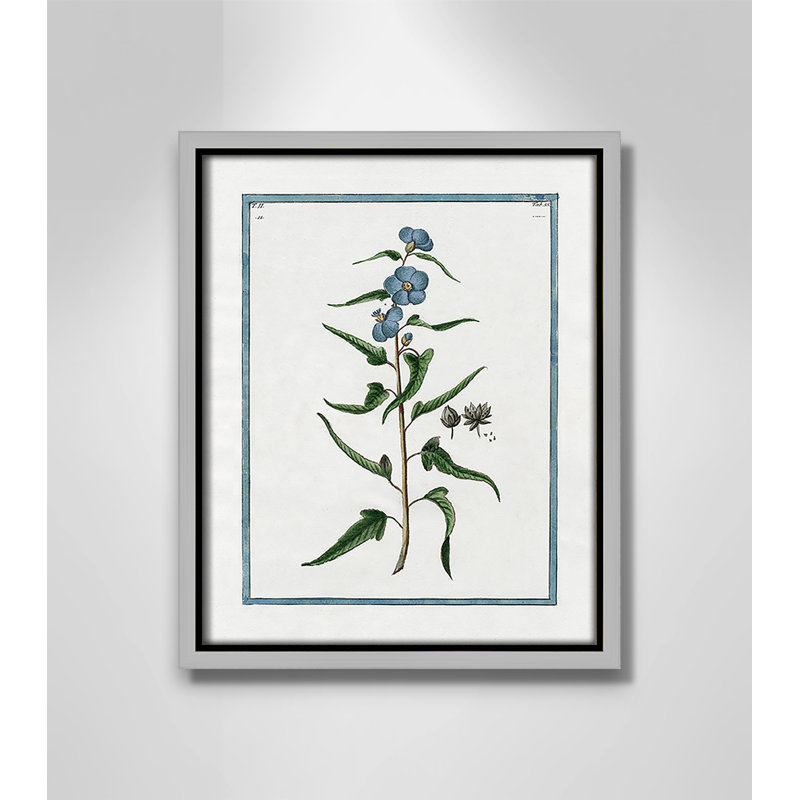 «Shabby Soft Shabby Elegance Botanical I» par Kelly Donovan, reproduction sur toile flottante, H 11,5 po x l 9,5 po x P 2 po