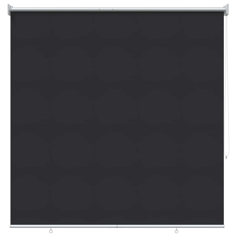 Roller Blind, 140" W x 230" L, Anthracite