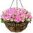 Sorbus Metal Hanging Planter Baskets
