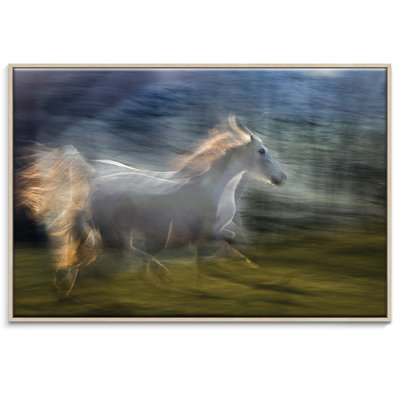 Print on Canvas