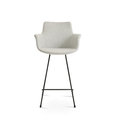 Bottega Cat Bar & Counter Stool