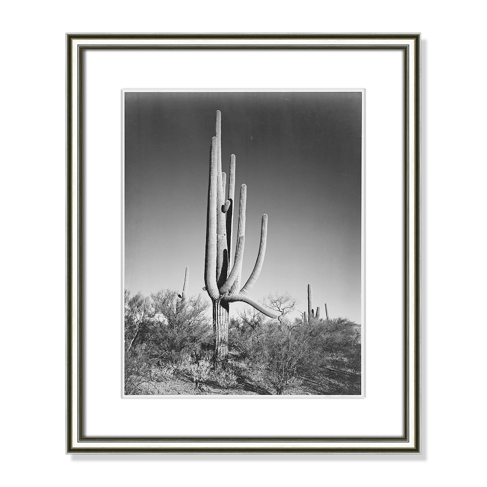 Saguaro National Monument Print by Ansel Adams, 20.25" H x 17.25" W x 0.88" D, Silver
