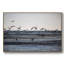Vol de mouettes encadré sur toile-92480532-92480533