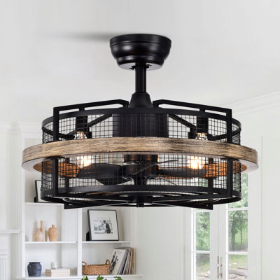 Ventilateur de plafond cage à 5 pales 20 po avec télécommande et ensemble d'éclairage Rishel