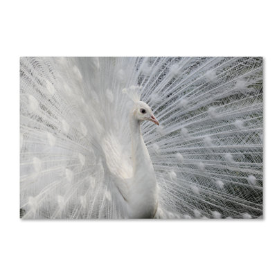 Art mural sur toile tendue - Victoria White «As White As Snow» pour décoration de salon, de chambre à coucher ou de bureau - 12 x 19