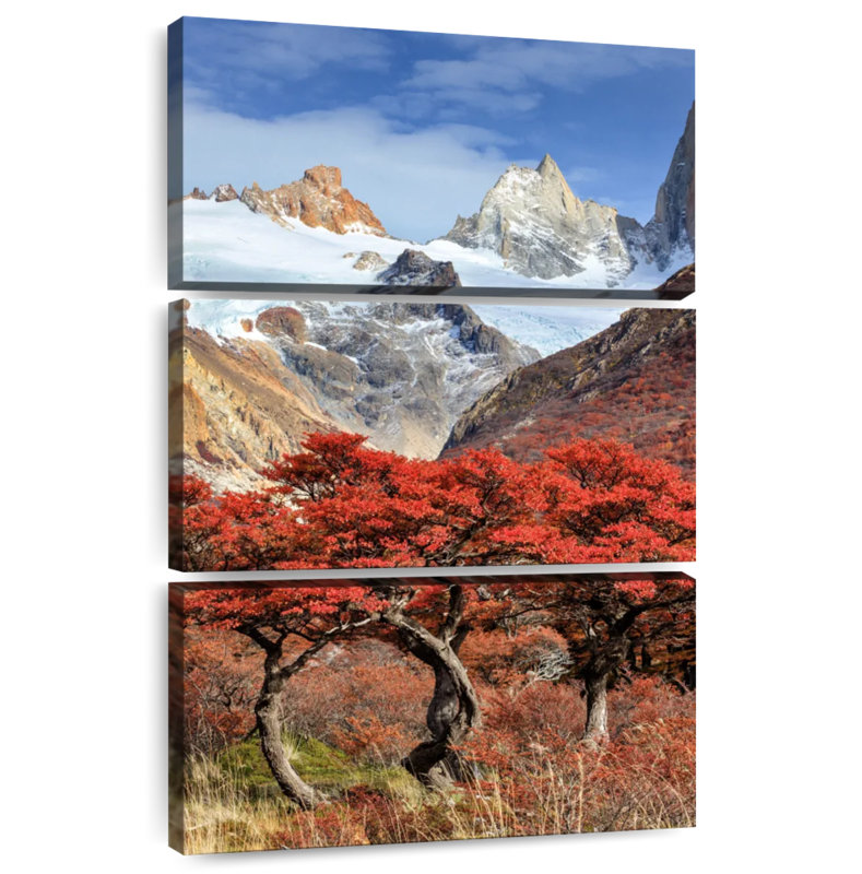 Arbres rouges Alvord Fitz Roy, H 45 po x l 28 po
