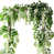 White/Green