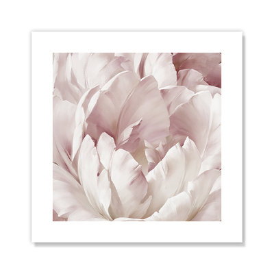 Intimate Blush " Intimate Blush III "