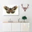 Great Peacock Moth by George Shaw - Wrapped Canvas Painting-55360274
