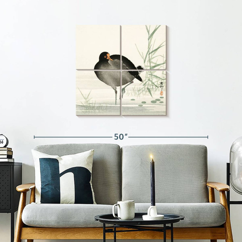 Brampt Moorhen