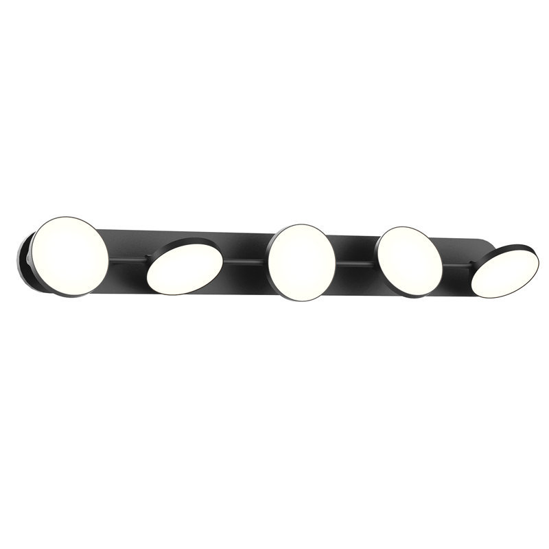 Black Outdoor Dimmable Direct Wired LED Vanity Light
