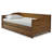 Anayelli Solid Wood Classic Daybed with Trundle-1531215804