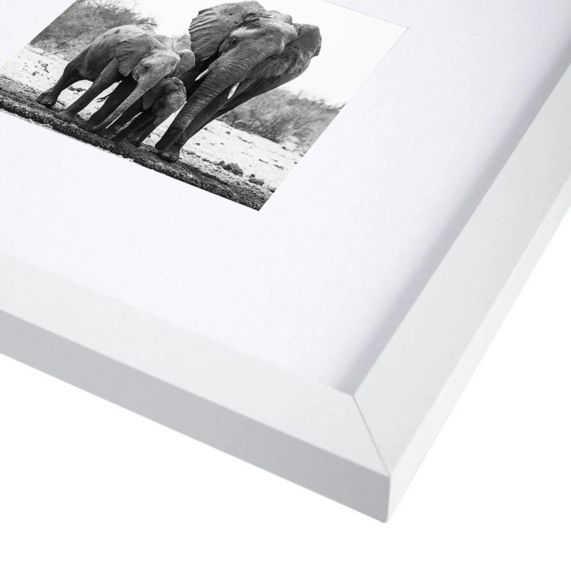 Cadre photo, 8 po x 10 po