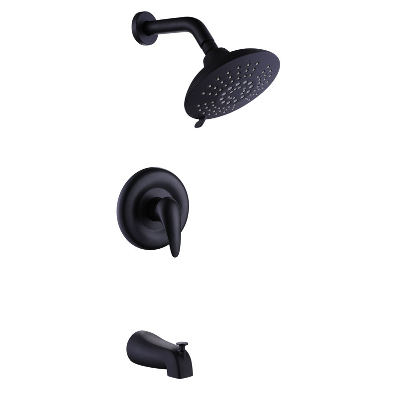 Raindance Full/Standard Adjustable Shower Head, Matte Black